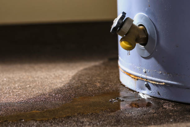 Best Residential water damage restoration  in Bellemont, AZ