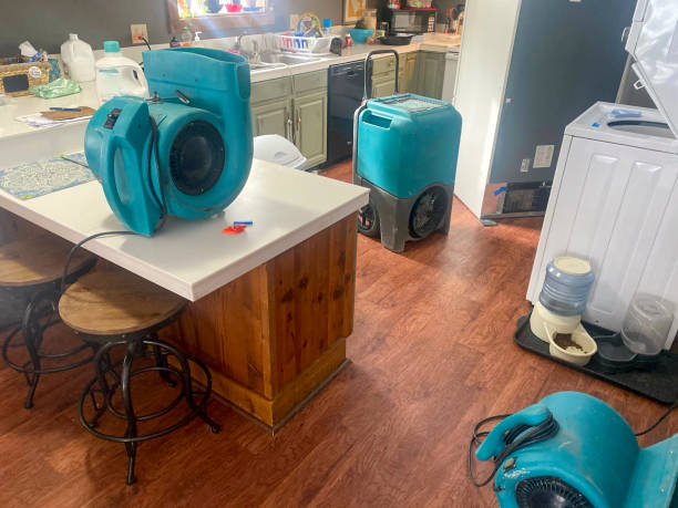Reliable Bellemont, AZ Water damage restoration Solutions