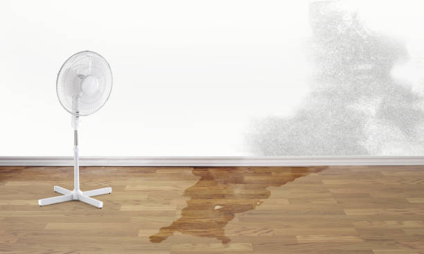 Water damage restoration process in Bellemont, AZ