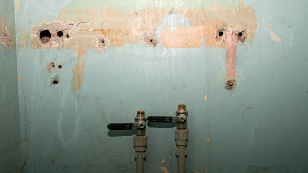 Best Flooded house restoration  in Bellemont, AZ