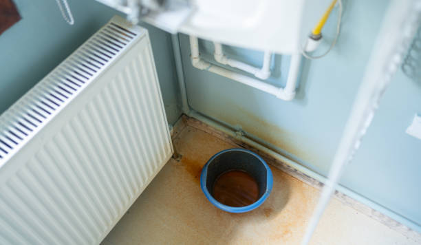 Best Flood damage cleanup  in Bellemont, AZ
