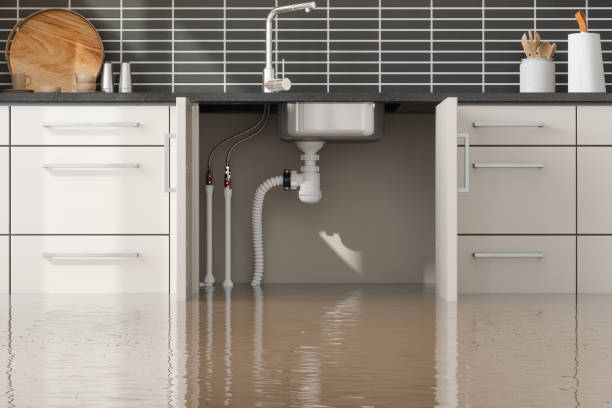 Best Water damage restoration near me  in Bellemont, AZ