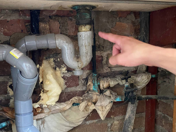 Best Flood restoration services  in Bellemont, AZ