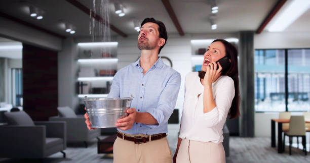 Best Professional water damage repair  in Bellemont, AZ